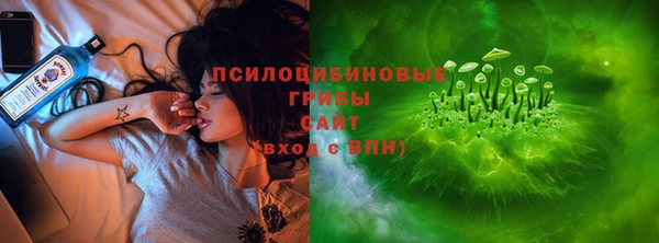 прущая мука Богданович