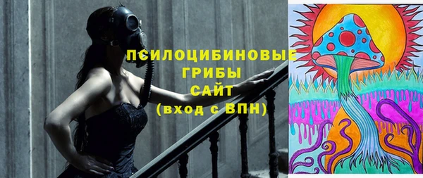 прущая мука Богданович