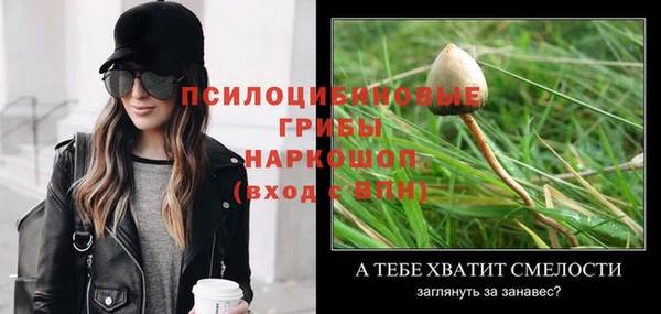 прущая мука Богданович
