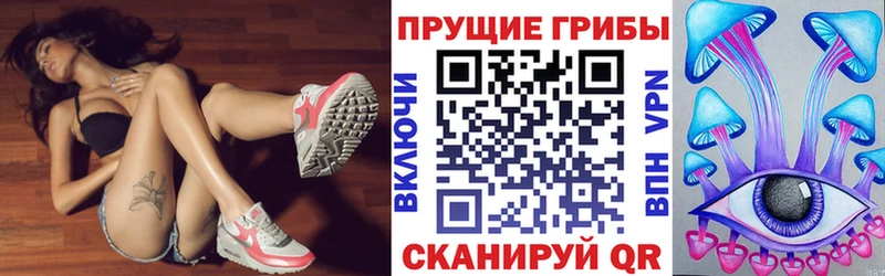 Галлюциногенные грибы Cubensis  цены наркотик  Короча 